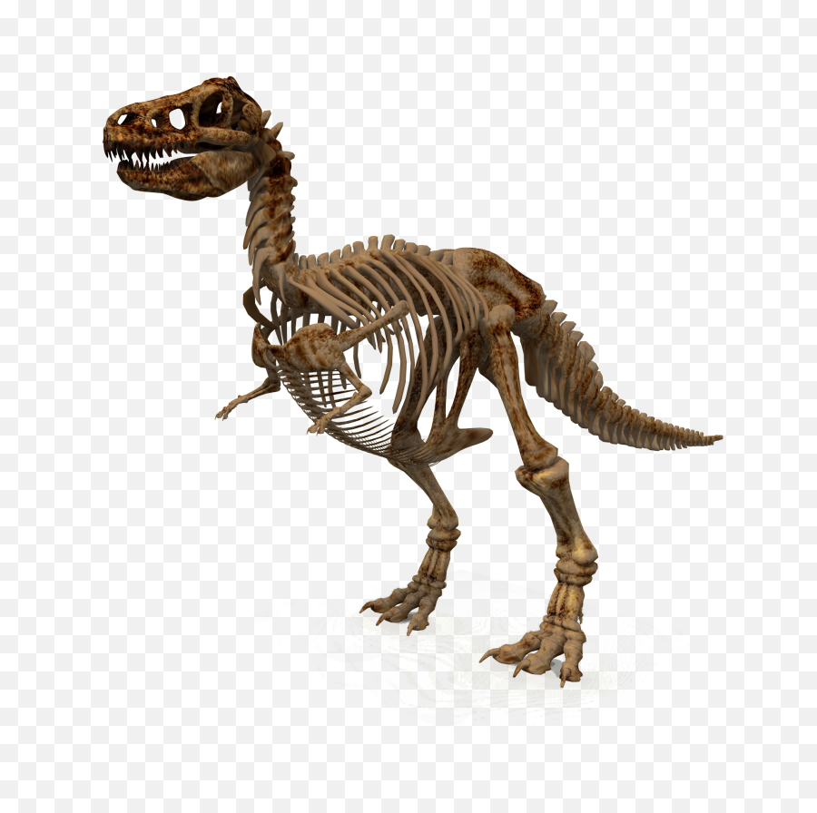 Dinosaur Png Transparent Image - Transparent Dinosaur Skeleton Png,Dinosaur Png