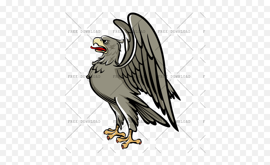 Eagle Hawk Bird Png Image With Birds Transparent Background