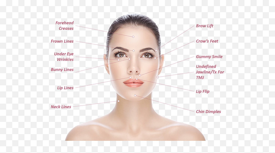 Anti - Wrinkle Injections Denver Nc Power C Skeyndor Png,Wrinkle Png