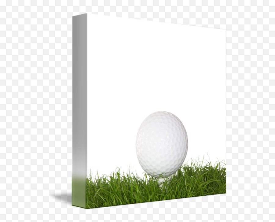 A Golf Ball In The Grass By B - Ds Piotrmarcinski Artificial Turf Png,Golf Ball Transparent Background