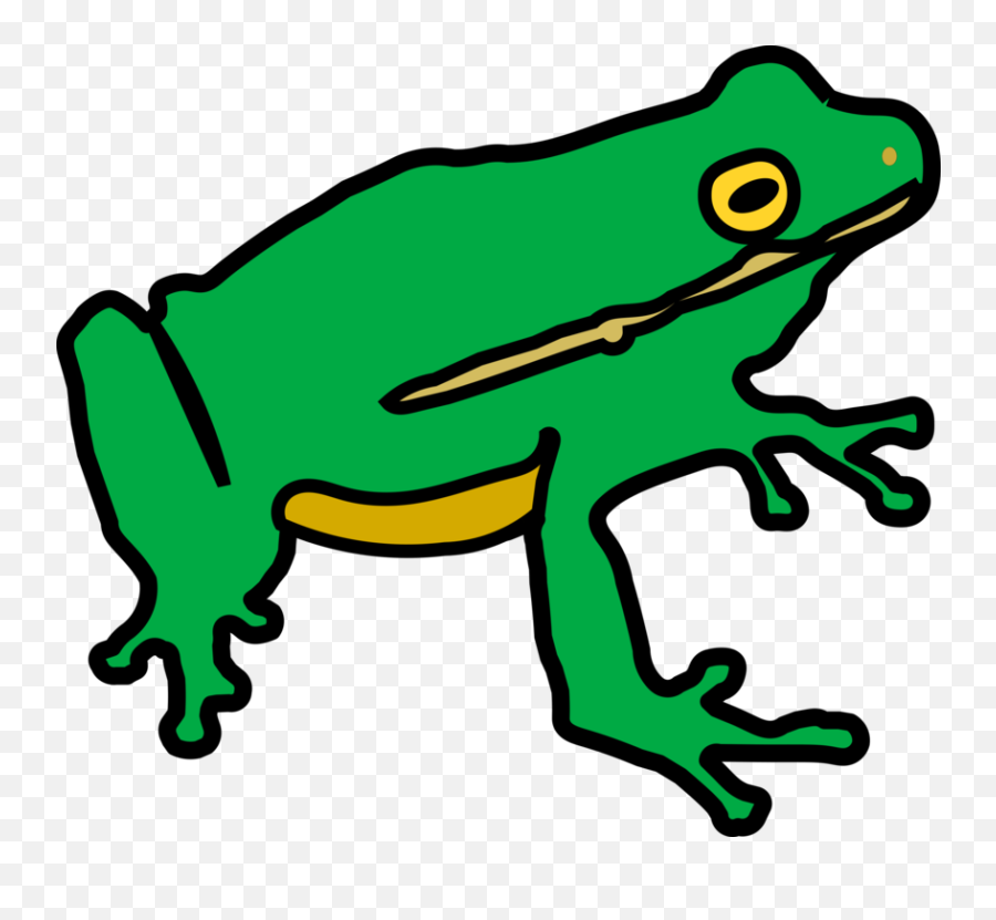 Animal Figuretoadfrog Png Clipart - Royalty Free Svg Png Frog Non Copyright,Frog Png