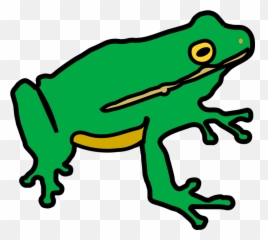 Animal Figuretoadfrog Png Clipart - Royalty Free Svg Png Frog Non Copyright,Frog Png