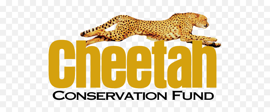 Cheetah Conservation Fund - Cheetah Conservation Fund Namibia Png,Cheetah Logo