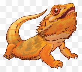 Blue Tongue Skink For - Lizard Bearded Dragon Cartoon png