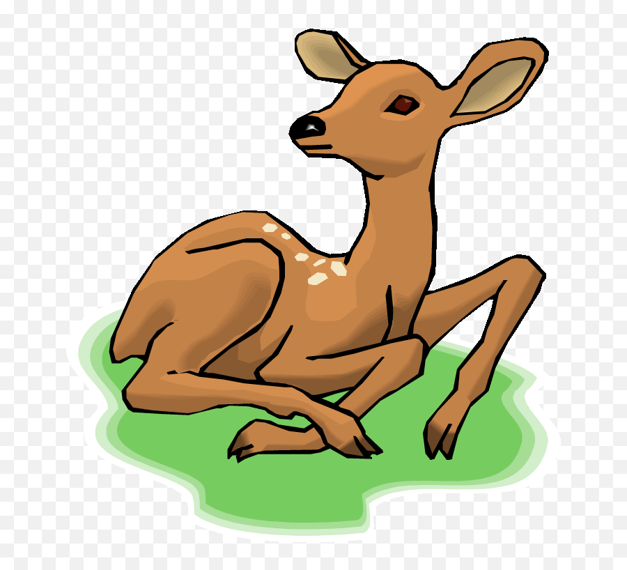 Baby Deer 3 Download Png Clipart - Deer Sleeping Clipart,Baby Deer Png