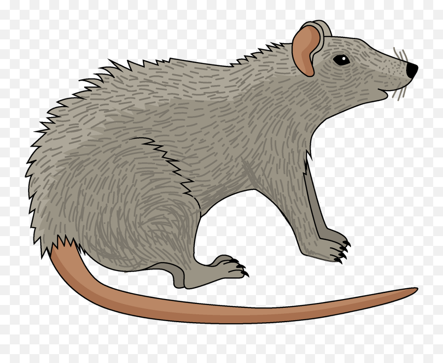 Clipart - Rat Clipart Png,Rat Png