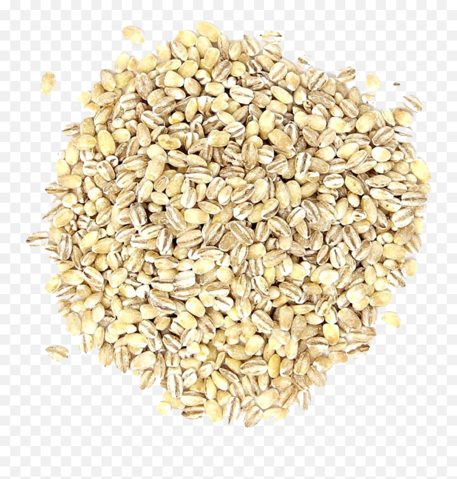 Barley Grain Png Pic - Emmer,Grain Png