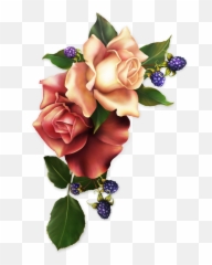 Pin By Pixel Craft - Frases Com Flores De Bom Dia Da Biblia png