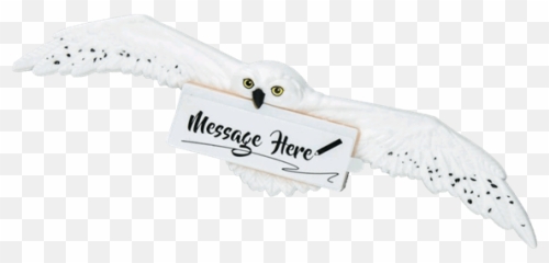 Hedwig Png - Homewares Harry Potter Logo Hedwig 149126 Magnet