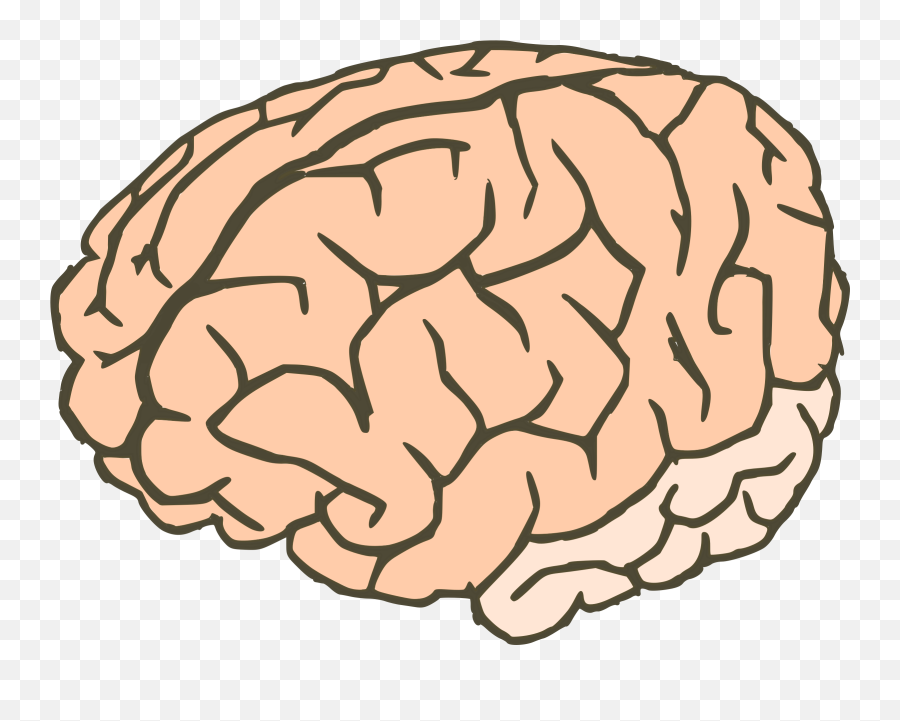 Brain Png - Background Cartoon Brain Png,Cartoon Brain Png
