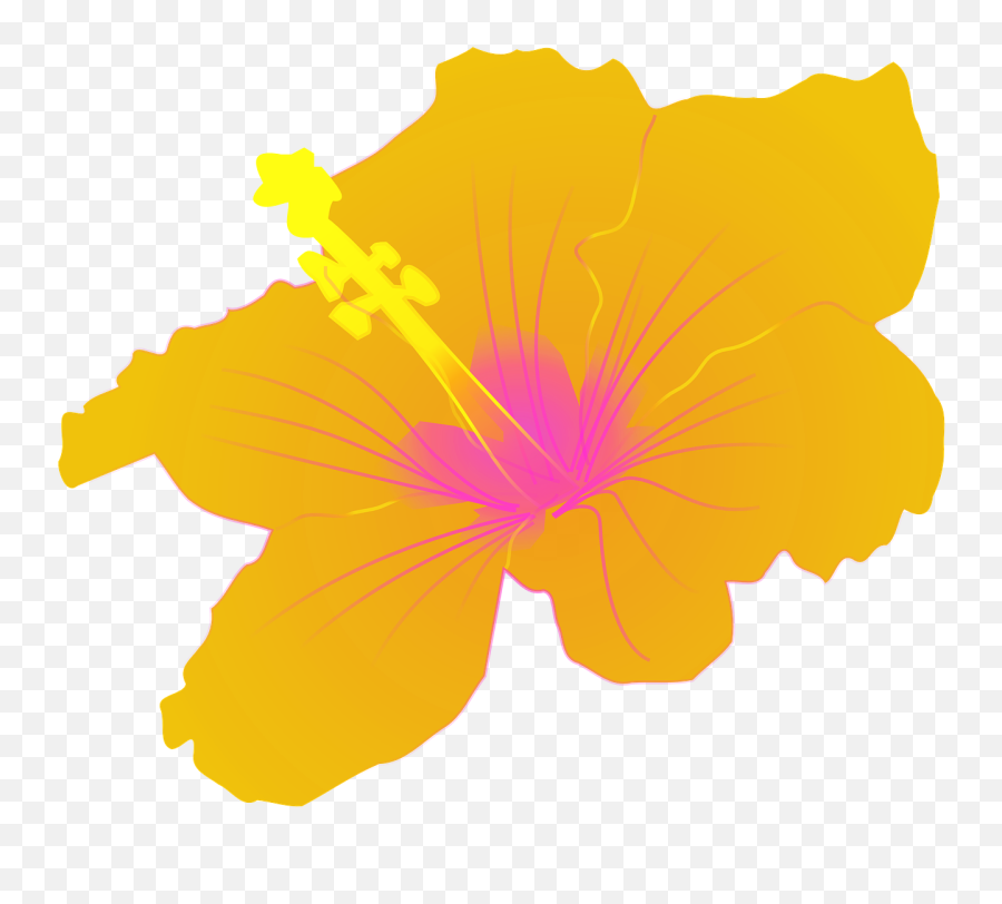 Hibiscus Flower Tropical - Hibiscus Clip Art Png,Tropical Flower Png