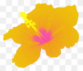 Hibiscus Flower Tropical - Clip Art png