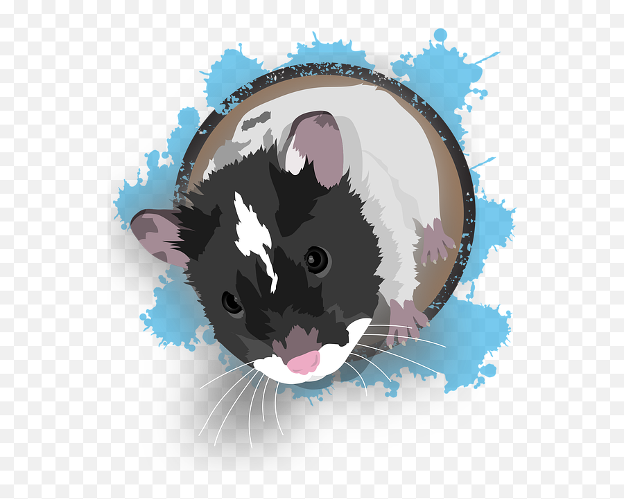 Hamster Pet Knuffig Fly - Hamster Vector Png,Hamster Png