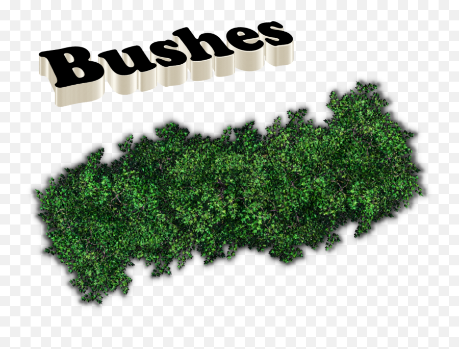 Bushes Png Images - Portable Network Graphics,Hedge Png