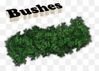 Bushes Png Images - Portable Network Graphics,Hedge Png