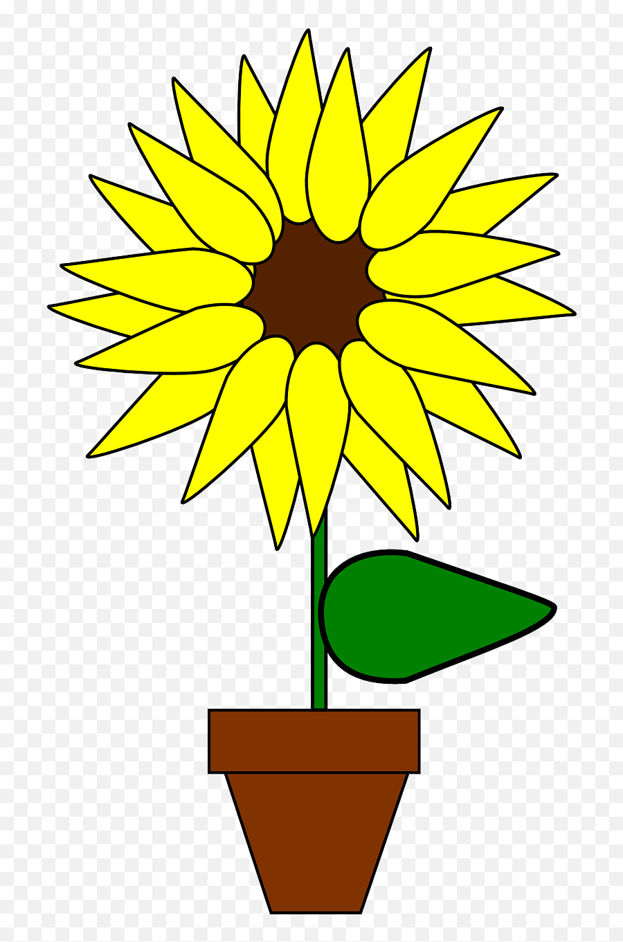 Download Hd Sunflower Clipart Girasol - Gambar Bunga Matahari Dalam Pot Png,Girasol Png