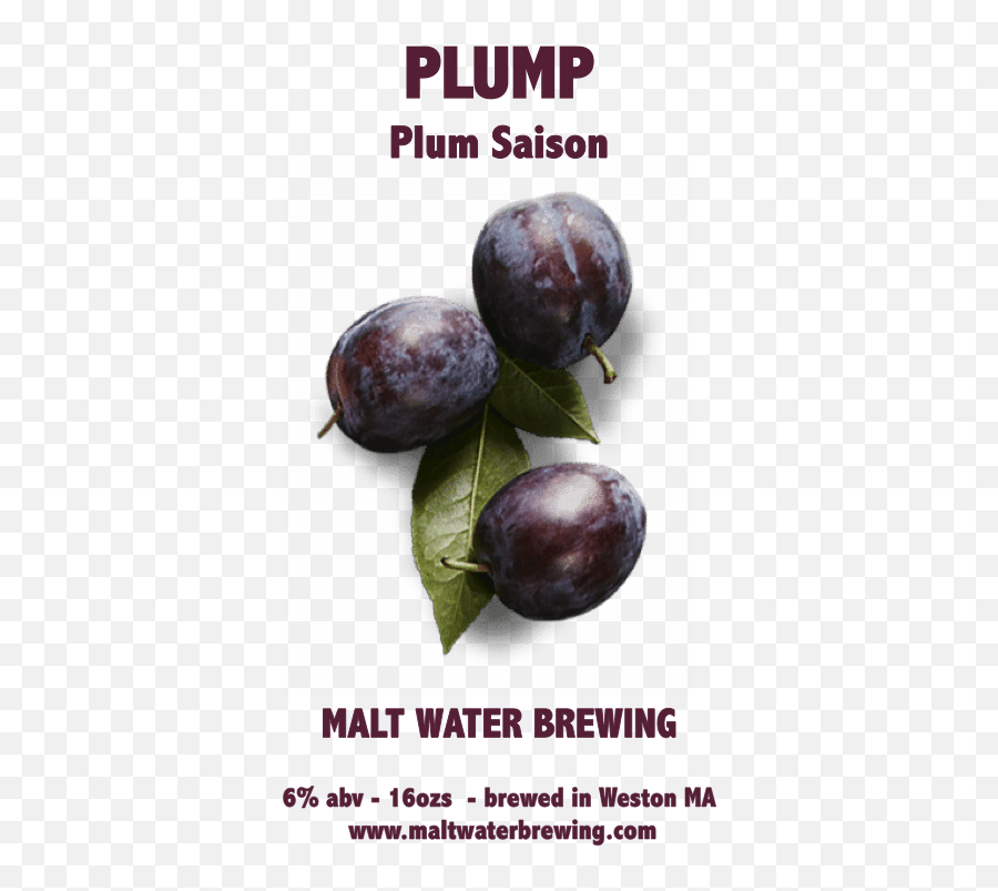 Download Plum Saison - Luke Walter Jr Back Png,Plum Png