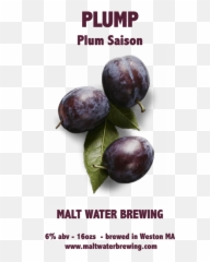 Download Plum Saison - Luke Walter Jr Back Png,Plum Png