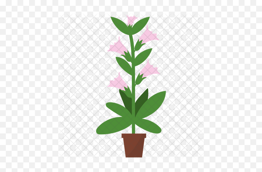 Honeysuckle Potted Plant Icon Of Flat - Flowerpot Png,Honeysuckle Png