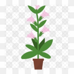 Honeysuckle Potted Plant Icon Of Flat - Flowerpot Png,Honeysuckle Png