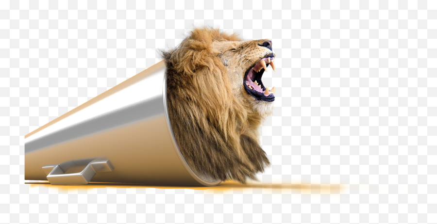 Lions Png Images And Lion Clipart Free - Speak Loudly Speak Visually,Lion Roar Png