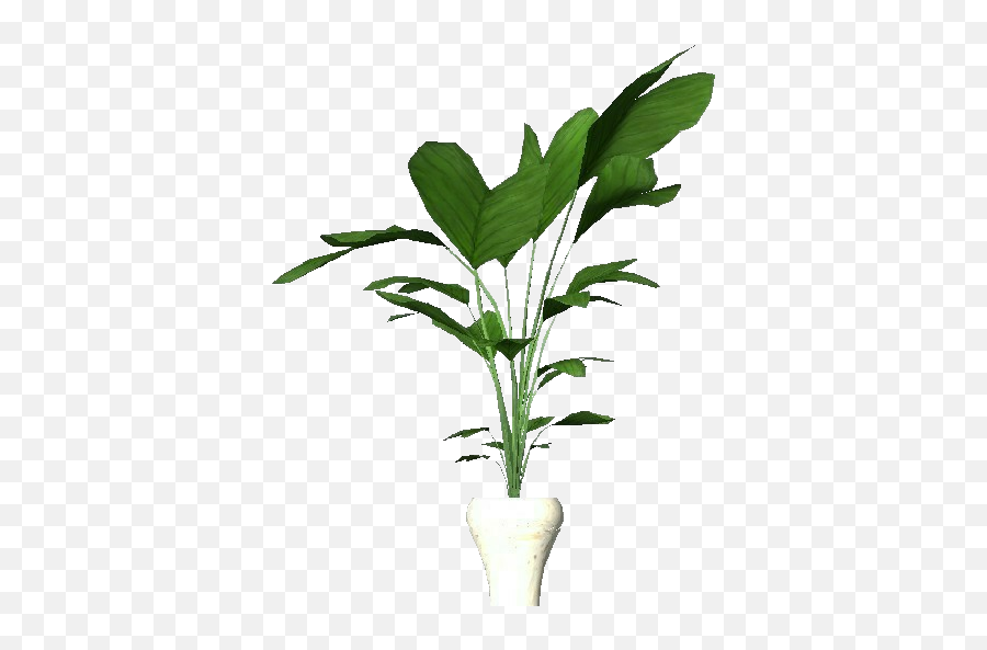 3d Flowers - Potted Plant For Apartments Acca Software Apartment Plant Png,Potted Plant Png