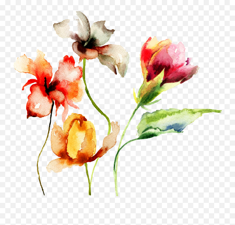 Watercolor Flowers Drawings Png Painted