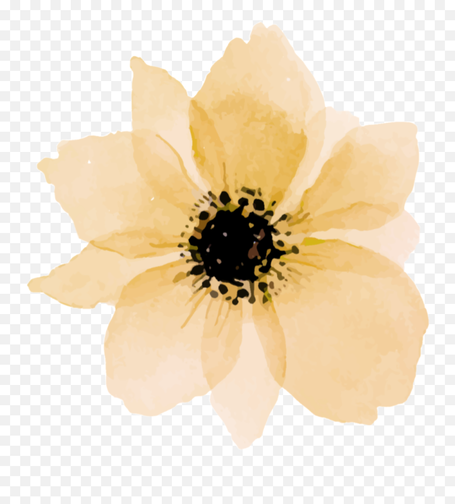 Yellow Daisy Png - Green Flower Watercolor Png,Flower Tumblr Png