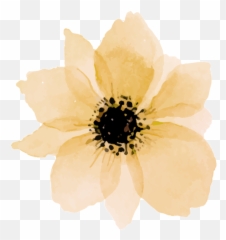 Yellow Daisy Png - Green Flower Watercolor