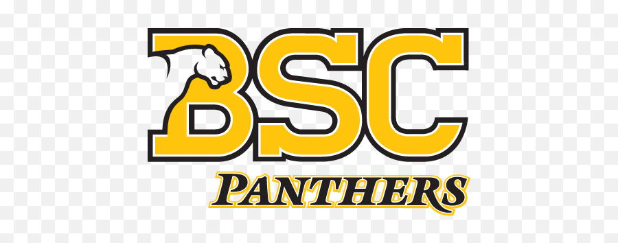 Birmingham - Southern Panthers College Basketball Birmingham Birmingham Southern College Logo Png,Southern University Logo