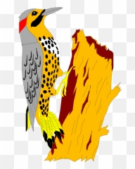 Yellowhammer Tree Bird Wings Png Image - On