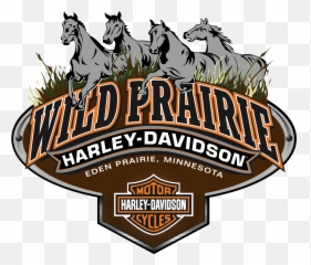 Wphd Horse Logo - Harley Davidson Png,Horse Logo Png