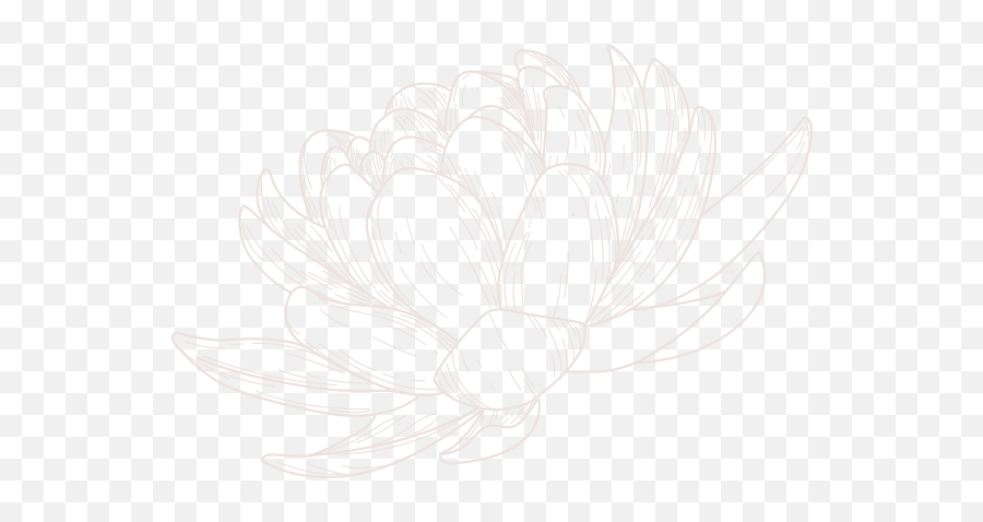 Digestion Best - Water Lilies Png,Blood Circulation Icon