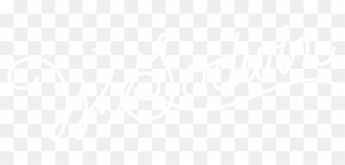 Geico Brand Book - williamgodwincom Dot png