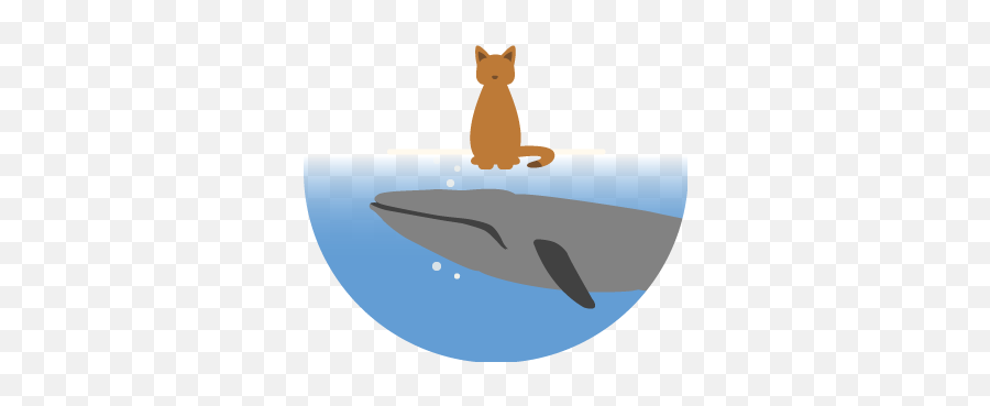 Binogica - Sei Whale Png,Animal Kingdom Icon
