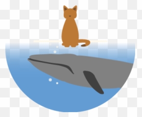 Binogica - Sei Whale png