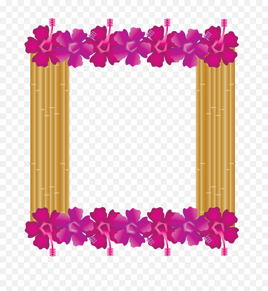 Download Hawaiian Frame Png - Transparent Png Png Images Marco Hawaiano Png,Hawaiian Flowers Png