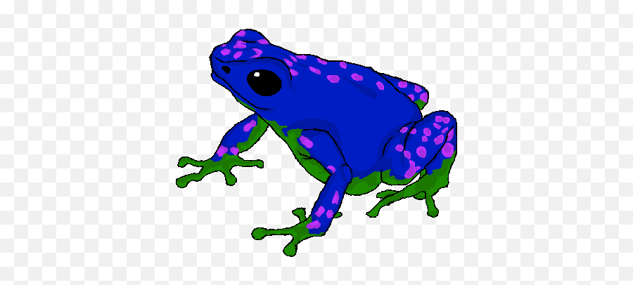 Poison Dart Frog Transparent Images Png - Cool Dart Frog Png,Toxic Png