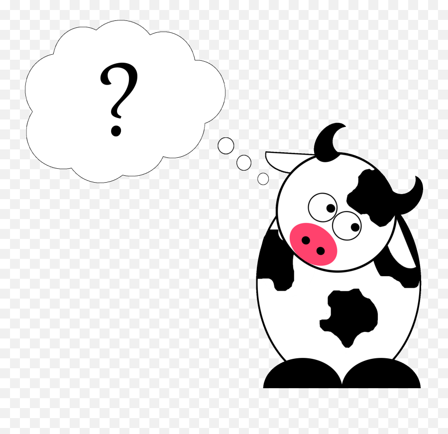 Download Hd Confused - Cow Image May Contain Text Confused Cow Clipart Png,Cow Emoji Png