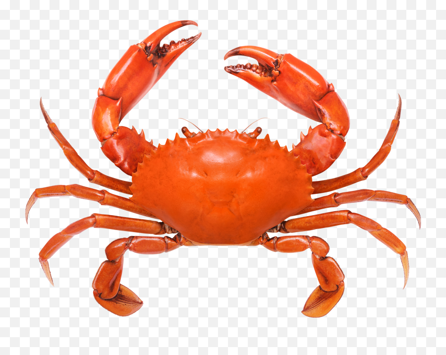 Mr U0026 Mrs Crab - Crab Legs White Background Png,Crab Transparent Background