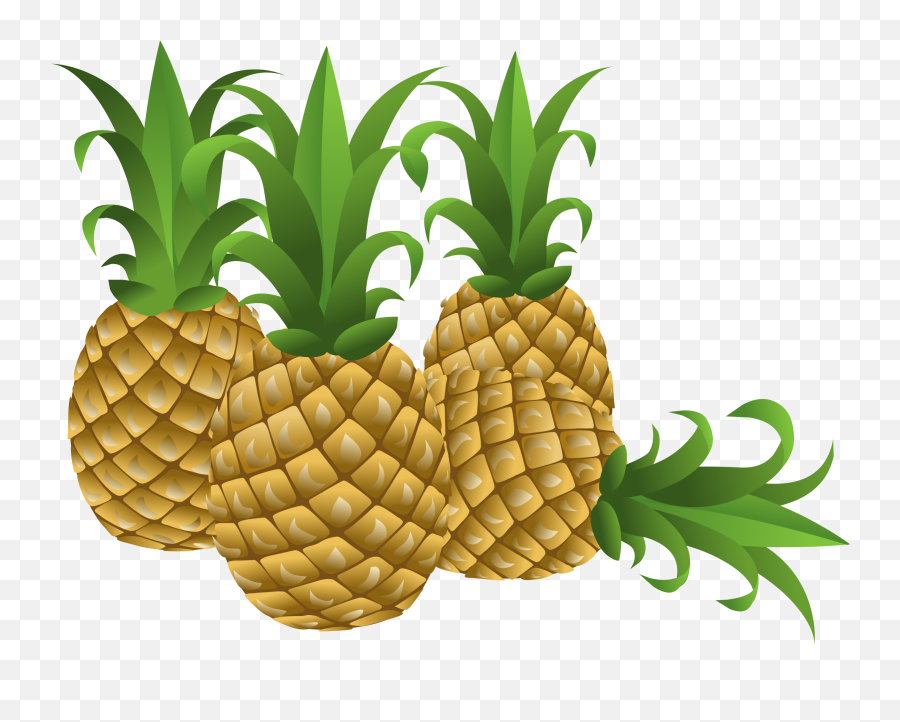 Clipart People Pineapple Transparent - Pineapples Clipart Png,Pineapple Clipart Png