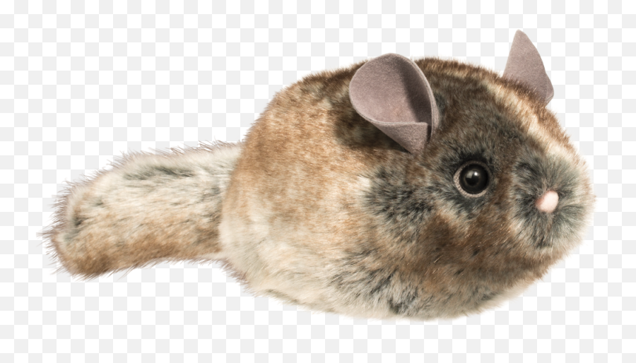 Camilla The Chinchilla - Chinchilla Plush Png,Chinchilla Png