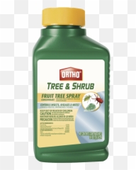 Download 1504733640 - Scotts Ortho Roundup Fruit Tree Spray Fruit Tree Png,Fruit Tree Png