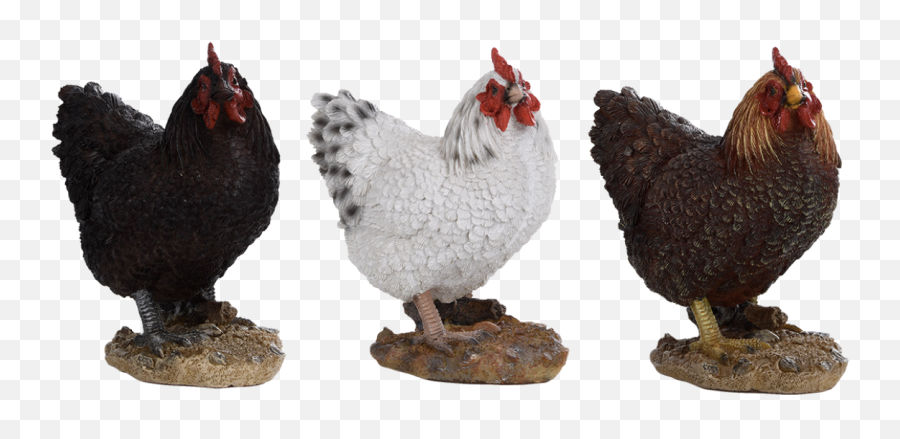 Hen Standing Ass - Esschert Design Rooster Png,Ass Png