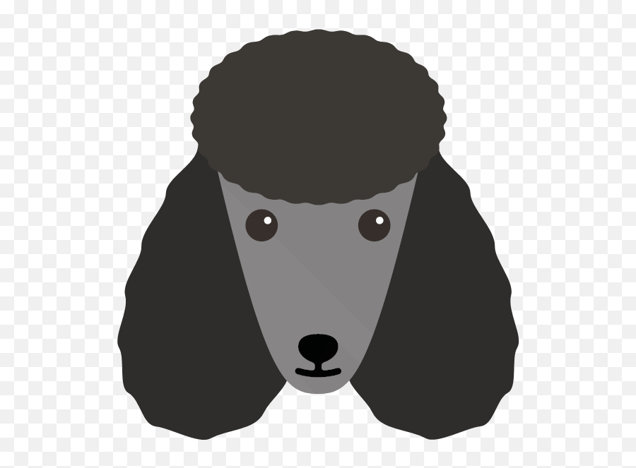 Download Poodle - 03 Yappicon Poodle Full Size Png Image Dog,Poodle Png