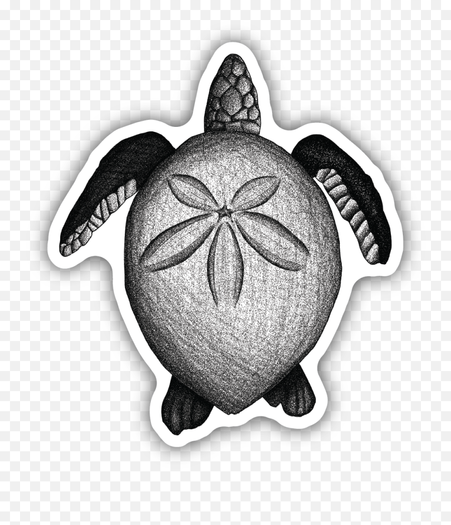 Sand Dollar Turtle - Ridley Sea Turtle Png,Sand Dollar Png