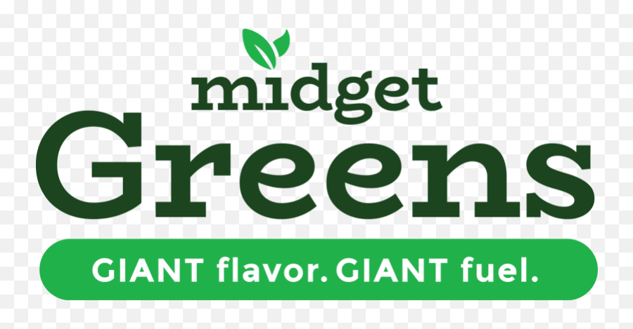Download Midget Greens Png Image With No Background - Pngkeycom Graphic Design,Midget Png