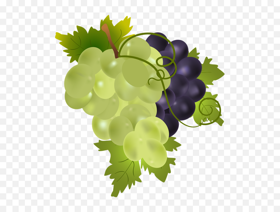 Download Grapes Png Clip Art Image - Grapes Png Full Size Clip Art Transparent Grapes,Grapes Transparent Background