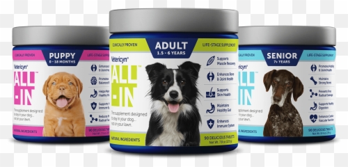 Wound Eye And Ear Care Shampoo Supplements More For - Companion Dog Png,Pets Png