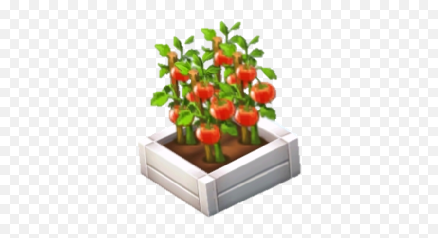 Tomato - Vertical Png,Tomato Plant Png